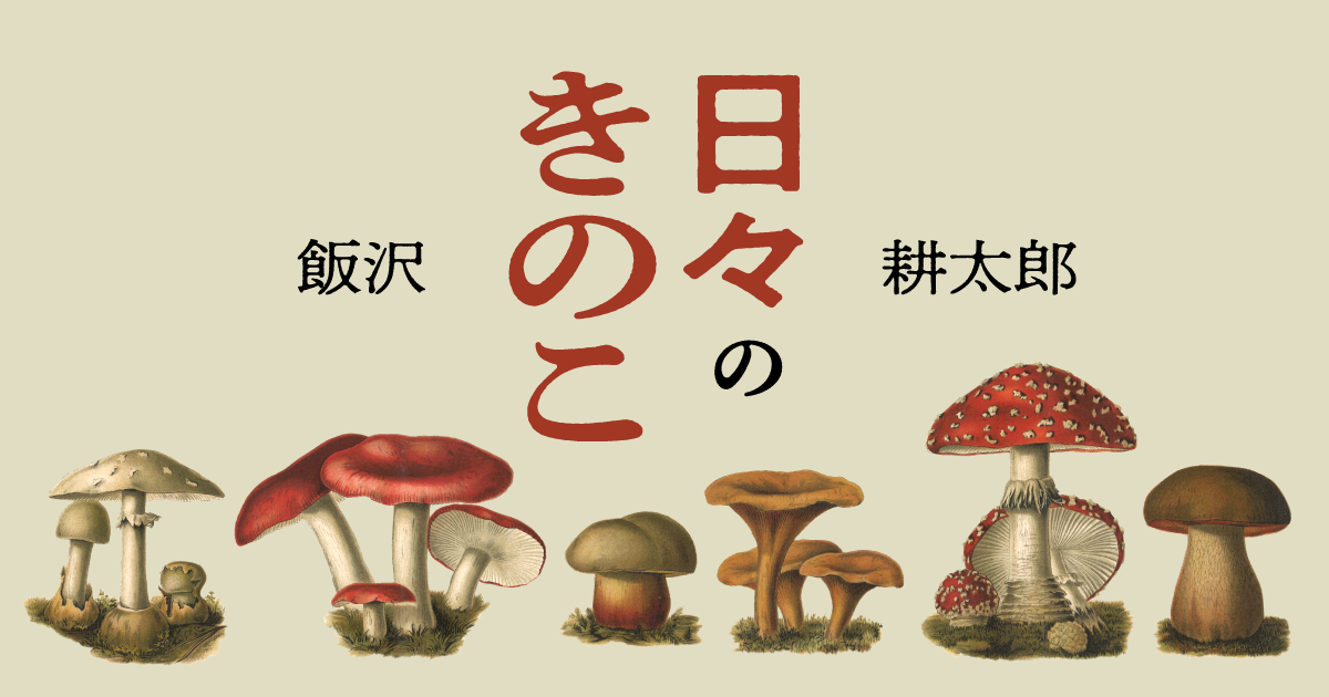 飯沢耕太郎 「日々のきのこ」 第1回 それは「キノコ切手」から始まった